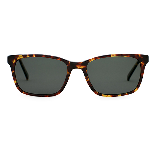 Francesa_Tortoise_-Grey_Front